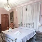 Camelia - Lucca